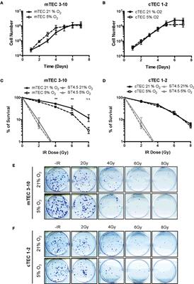 Differential Response of Mouse Thymic Epithelial Cell Types to Ionizing Radiation-Induced DNA Damage